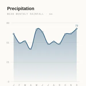 Precipitation Year